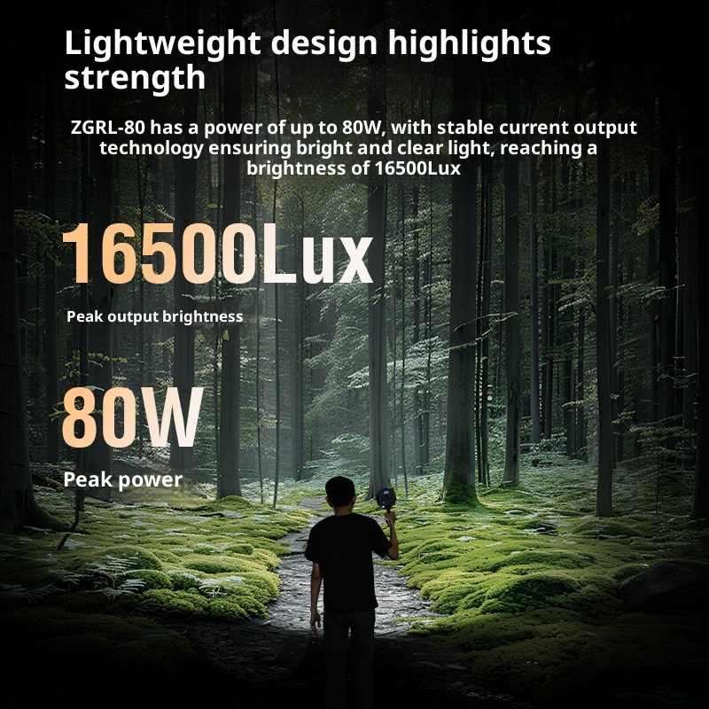 ZGRL80 80W COB LED-videolamp H - Photography Lighting System recensie en prijs